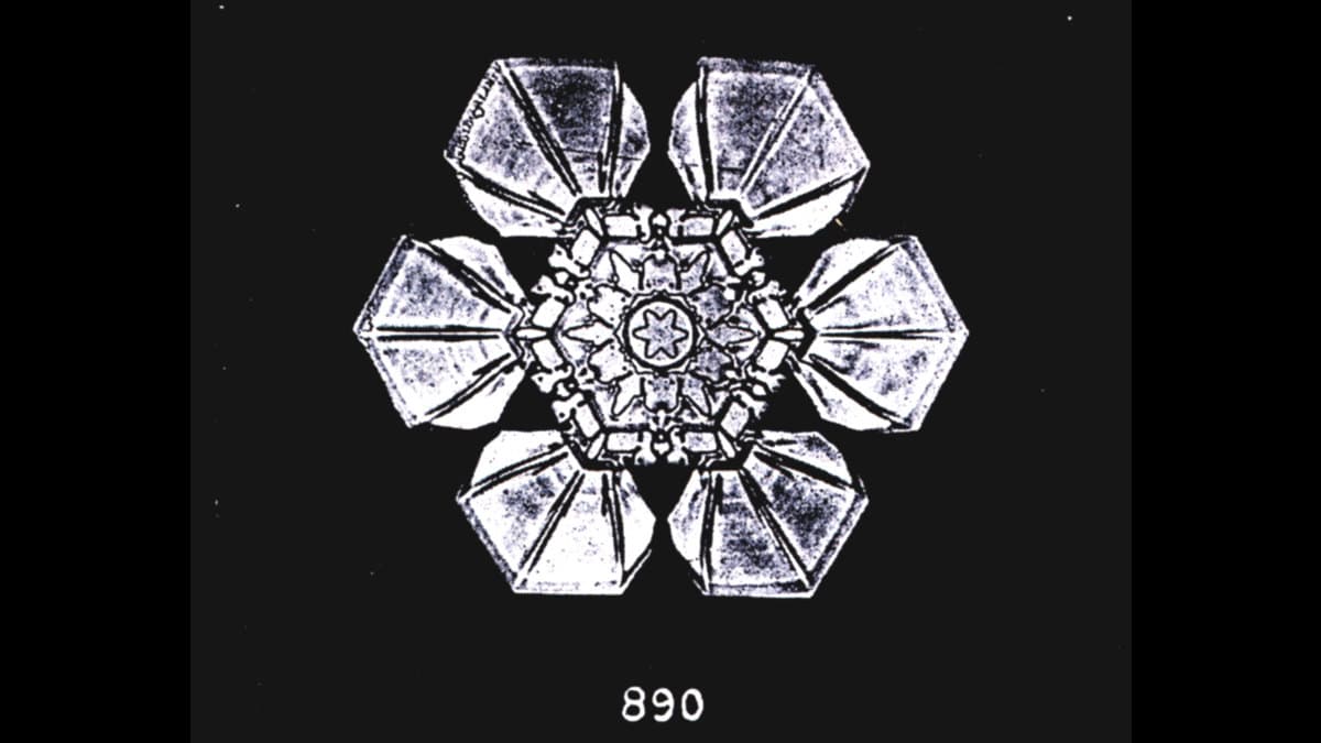A historical close-up photograph showing the branching arms of a snow crystal.
